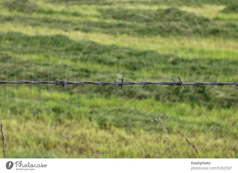 Barbed Wire Strand Closeup in a Countryside Location barbed barbed wire security sharp steel pointed jagged twisted spike spikes fence metal closeup background