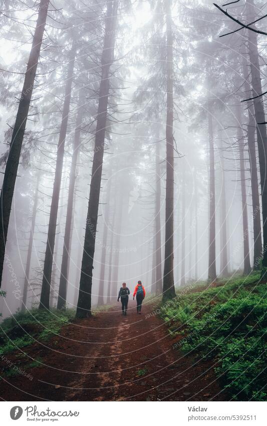 Two girls walk through a dark forest shrouded in a desolate grey mist on a rainy day. Horni Becva, Vsetinsko, Beskydy mountains lady two human explore hiking