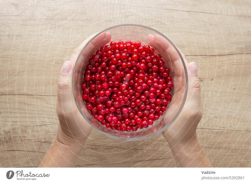 Top view of hands holding harvest of red berries in glass vase on background of wooden table. Berries Mature Harvest Red White vitamins Healthy Food Colour