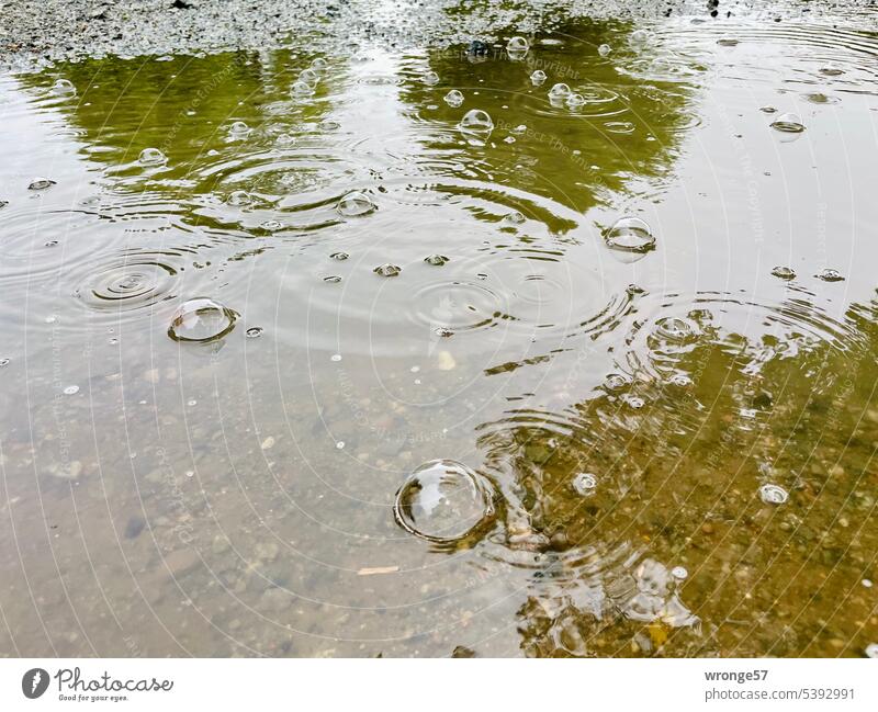 Rain puddle on the road Puddle Rain bubbles Precipitation Reflection Water Wet Exterior shot Street Bad weather Rainy weather Deserted Damp Colour photo