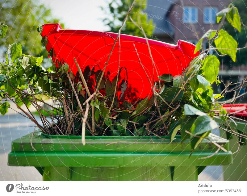 Biowaste garbage can | The lid is open, branches and twigs with leaves are peeping out organic waste bin Green waste Biogradable waste Environment Recycling