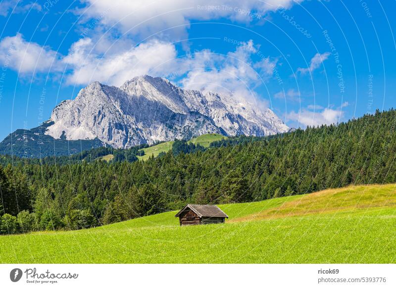 Hay hut in the hummock meadows between Mittenwald and Krün Alps mountain Bavaria Hut Wooden hut Landscape Nature Weather mountains County Garmisch-Partenkirchen