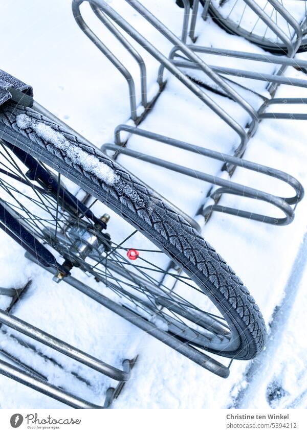 Whims of nature | onset of winter Snow Bicycle in snow Bicycle rack Bicycle tyre Winter Autumn Cold snowy White Winter mood Winter's day chill Weather