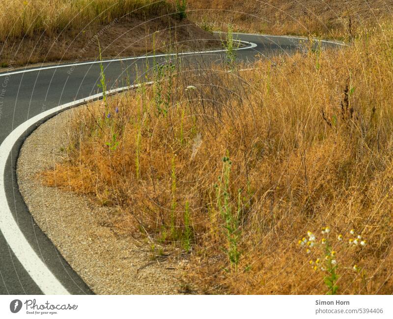A bicycle path leads in a serpentine line through a dry meadow Curve curvy Cycle path Wiggly line Dry Ambiguous Lanes & trails Direction Change in direction