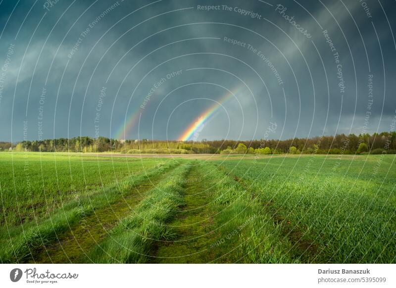 Double rainbow in the sky over green fields with a dirt road, Czulczyce, Poland cloud grass nature landscape meadow outdoor summer weather rural scenic