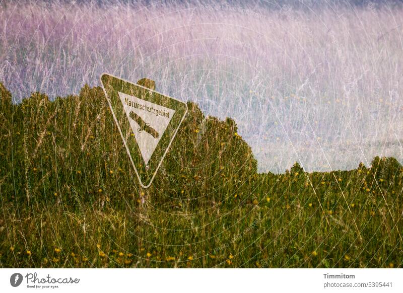Summer in the nature reserve Nature reserve Signage Pole Meadow grasses blossoms Sky Warmth ardor Hot multiple exposure Colour photo Deserted Green Blue Pink