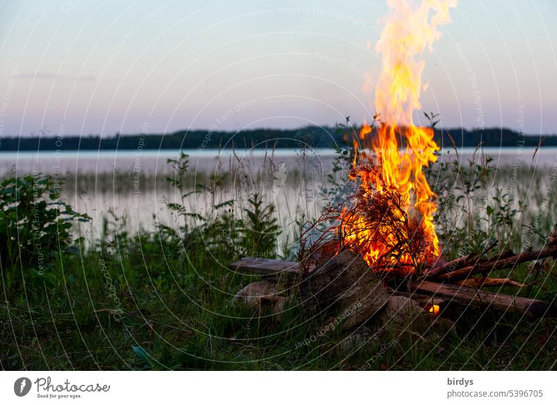 Lake campfire Fire blaze Fireplace Nature Lakeside Twilight Warmth Wilderness tranquillity evening sky