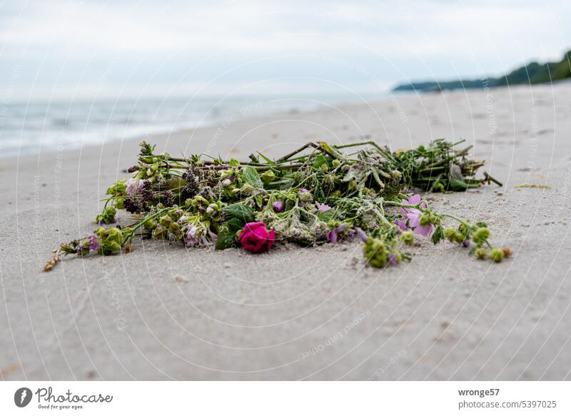 Last regards Beach Sandy beach Baltic Sea Bouquet Hand bouquet Death Funeral Goodbye commemoration Grief burial at sea Sadness Transience Religion and faith