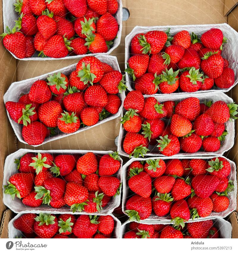 Perennial | Buy strawberries Strawberry fruit Strawberry hulls sale Supermarket Markets Food Fresh Nutrition Delicious Fruit Healthy Eating Organic produce
