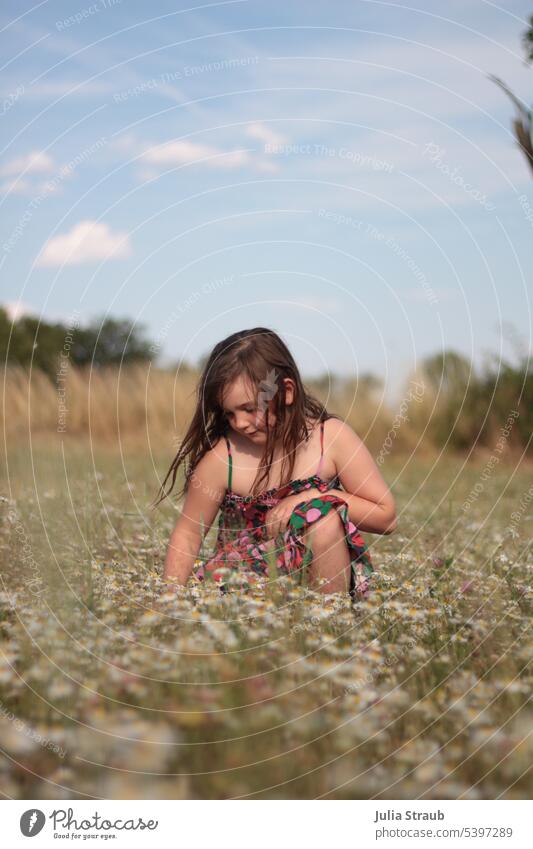 Picking flowers in chamomile field Camomile blossom Field Summer Summertime Summer's day Summer feeling warm Girl Bouquet Flower meadow Nature acre Sky Summery