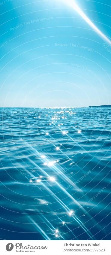 Glittering North Sea against the light Ocean Water Sunlight Beautiful weather calm weather sparkle Day Background picture Light reflections in the water
