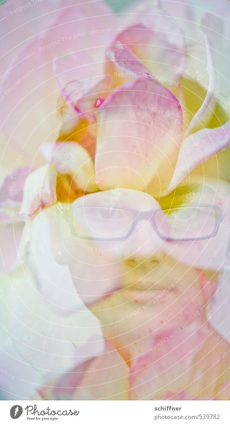 Plant | Flower child Human being Feminine Child Girl Face 1 8 - 13 years Infancy Art Yellow Pink White Eyeglasses Person wearing glasses Beautiful
