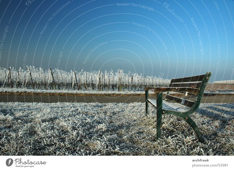 A morning in Baden Hoar frost Vineyard Meadow Park bench Calm Winegrower Tourism Sky Relaxation Germany Bench Frost Mountain Sit Swimming & Bathing Landscape