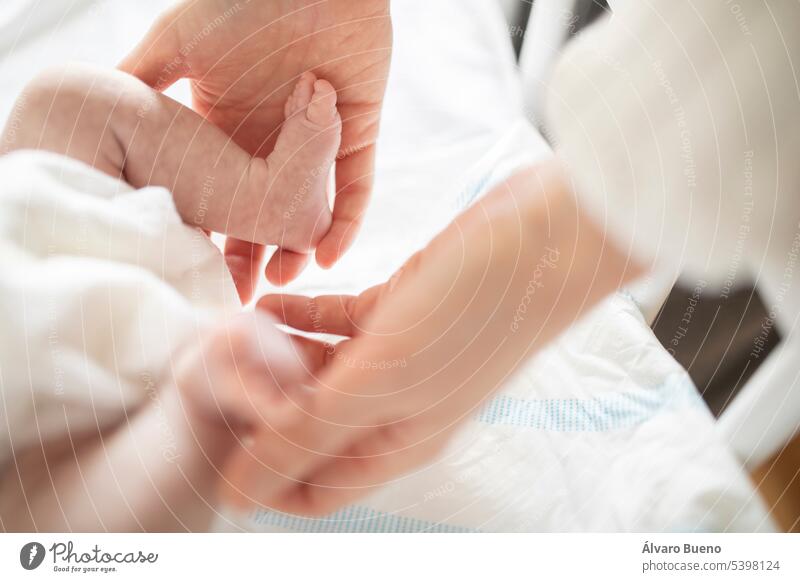 A new mother gently holds her newborn baby's tiny feet in the crib at home hands holding legs premature view diaper subjective little feet little fingers