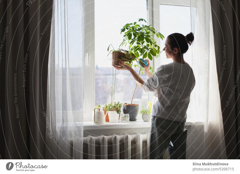 Young woman taking care of green house plants at home indoor garden. Millennial person holding potted plant. Gardening urban jungle hobby. abstract background