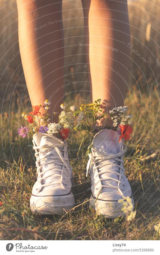 Colorful field flowers look out of the white sneakers White Field flowers golden light Summer Harvest Bouquet Nature plants Exterior shot variegated