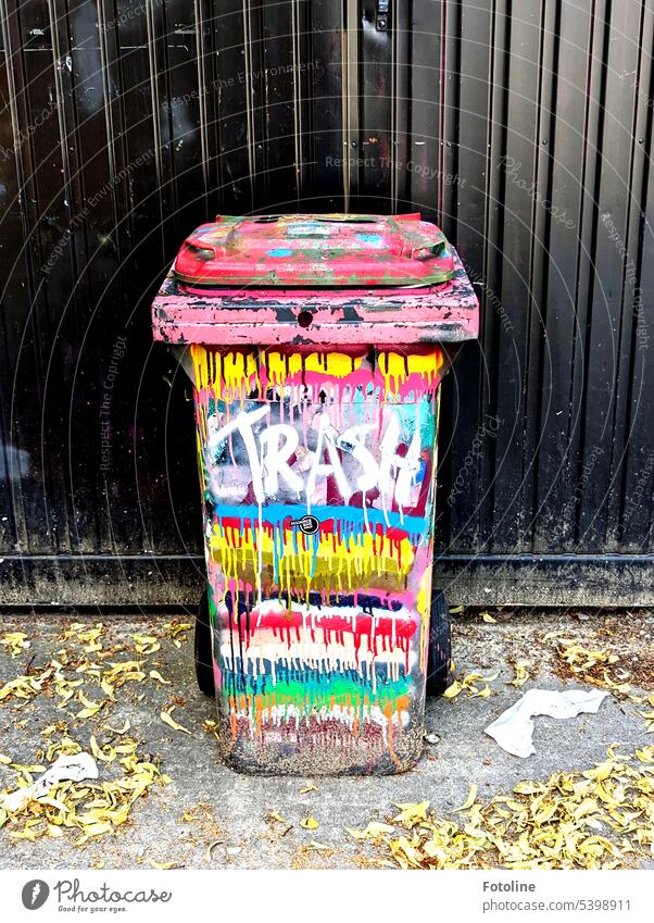 Trash cans can look so creative, colorful and crazy.  They have to have the word "trash" on them, otherwise you'd think they were a work of art. Unfortunately, trash still lies next to it instead of in it.
