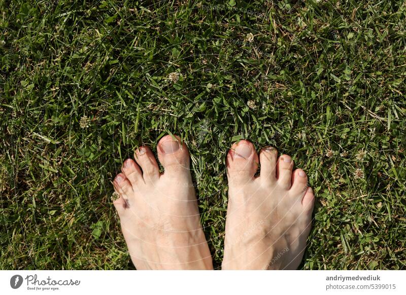 Barefoot on fresh bright green grass on hot day. Male feet stand on lawn outdoors. Freedom, summer relax concept. Earth Day. Earthing or grounded yoga. Rustic lifestyle. Top view.