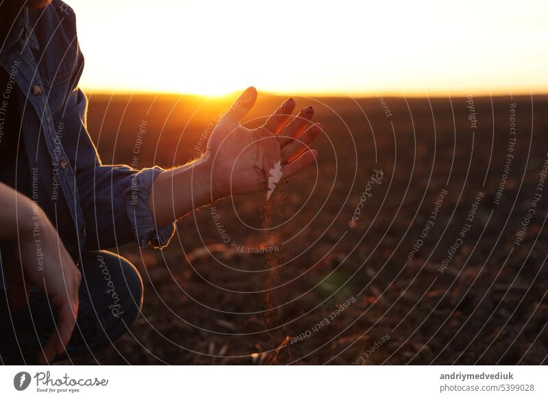 Male farmer's hand holds a handful of dry ground and checks soil fertility and quality before sowing crops on plowed field at sunset. Cultivated land. Concept of organic agriculture and agribusiness