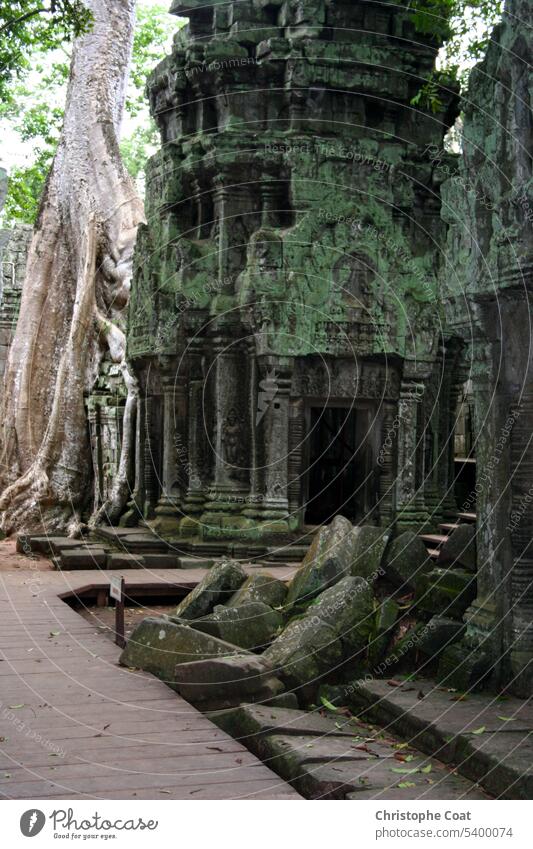 Ta Prohm temple in Siem Reap Cambodia Ta Phrom Temple - Building Tropical Rainforest Angkor Old Ruin Ruined Ancient Archaeology Architecture Asia