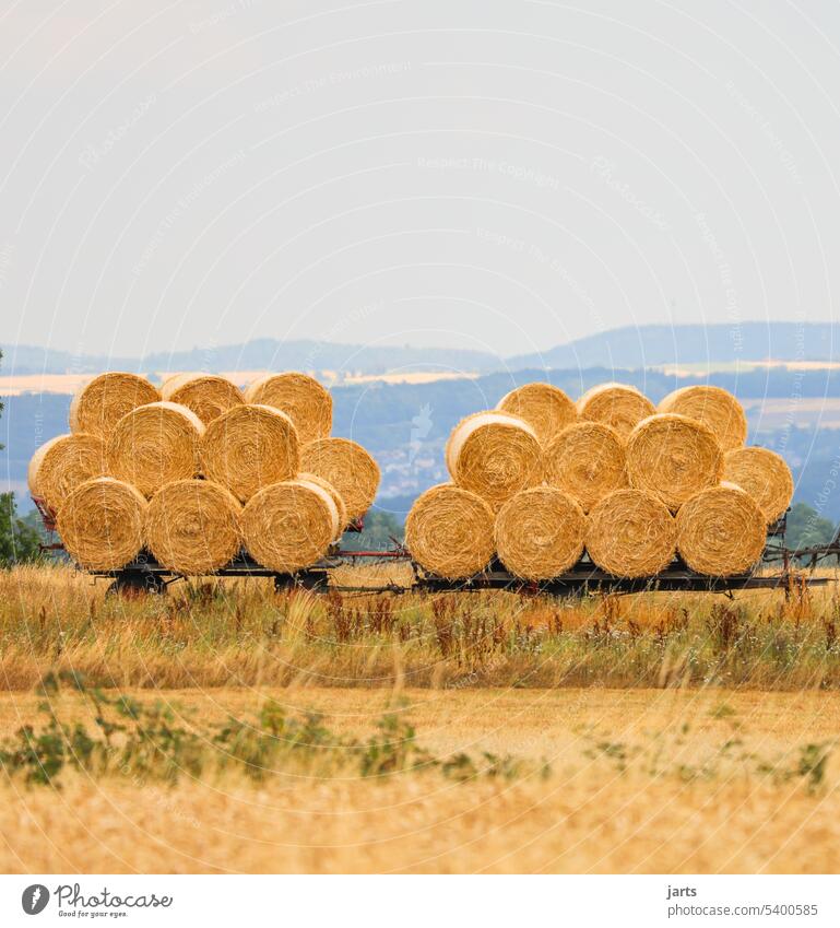 Round bales on two trailers in front of low mountain panorama round bales Harvest Field Agriculture Nature Grain Nutrition Summer Environment Ecological
