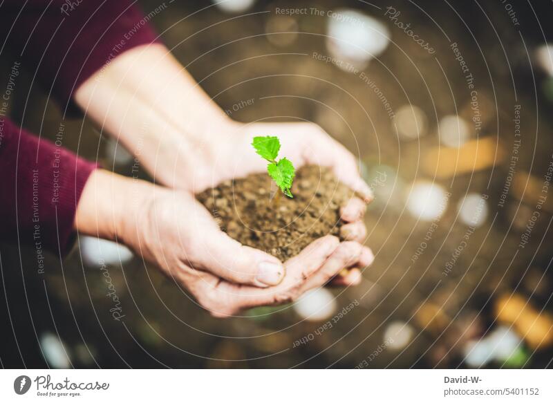 plant something - woman holds a seedling in her hands Sapling implant Future Sustainability Earth Nature Growth wax Small Garden Life Ground Woman Plant Spring