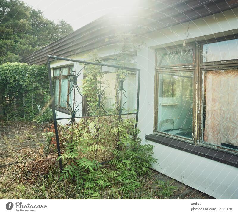 Post-socialist vacation mood bungalow Holiday Village Bushes Back-light Sunlight Exterior shot Vacation home shine Illuminate Deserted Wall (building) Rustic