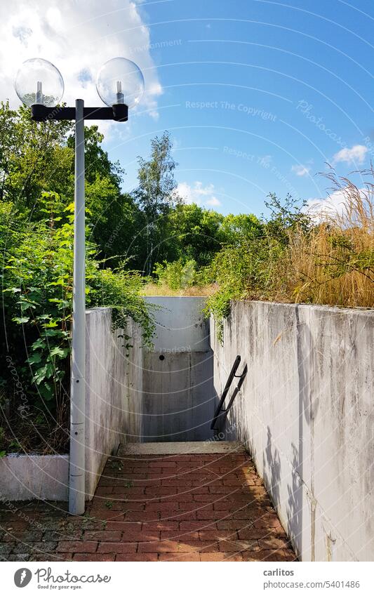 Descent zone | Stairs, it goes downhill Concrete parapet handrail Lantern Outdoor facilities GaLa construction pavement Gray Brown Green plants bushes greening
