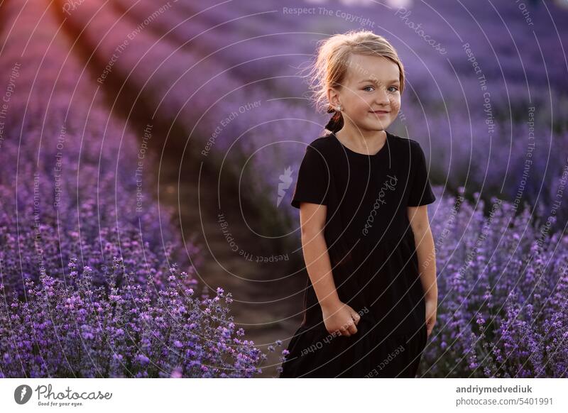 Portrait of a cute girl with a bouquet of lavender flowers in her hands. A child is walking in a field of lavender on sunset. Kid in black dress is having fun on nature on summer holiday vacation.