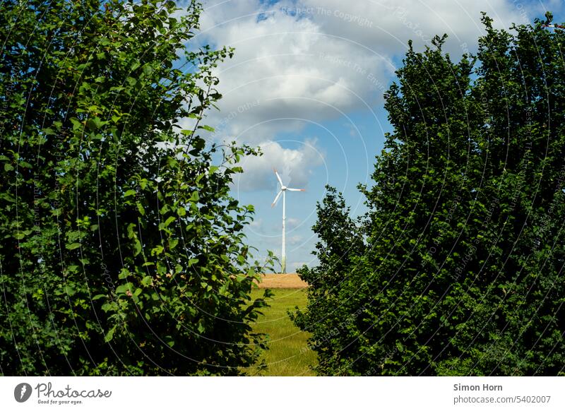 Wind turbine between two big bushes Wind energy plant wind power landscape Still Life Renewable energy Pinwheel Electricity Energy industry Technology