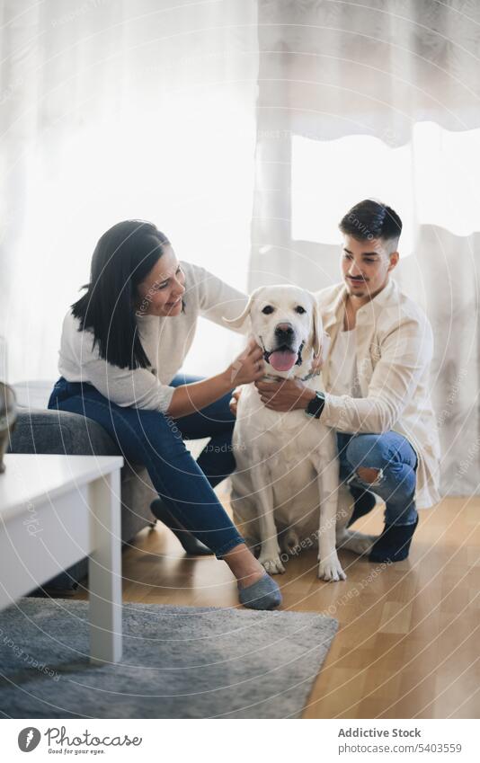 Happy couple at home petting and posing with a dog animal apartment female flat floor happiness happy house interior light man property relaxation relaxed