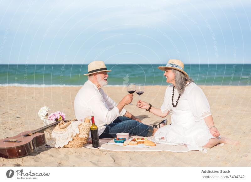 Senior couple enjoying picnic on beach wineglass clink cheers toast love happy relationship together romantic sea smile holiday affection drink senior elderly