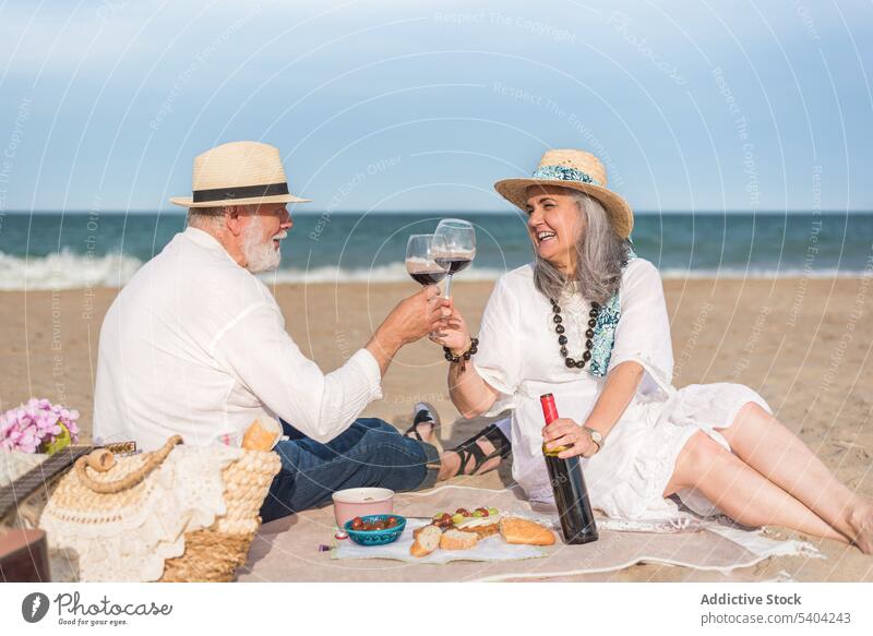 Senior couple enjoying picnic on beach wineglass clink cheers toast love happy relationship together romantic sea holiday affection drink senior elderly aged
