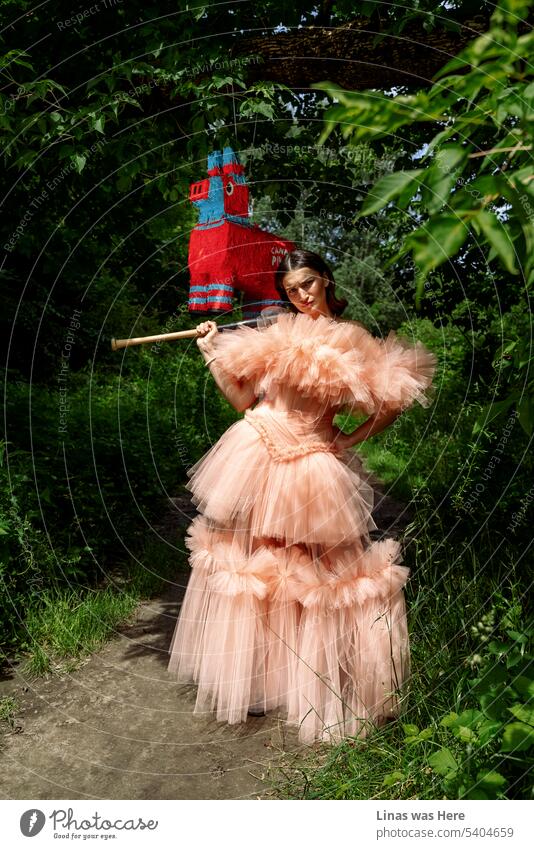 A wild and gorgeous brunette girl dressed in a fancy dress for a model test. A bit angry princess with a baseball bat is standing next to a colorful pinata. Great green outdoors on a fine summer day. With a pretty woman.