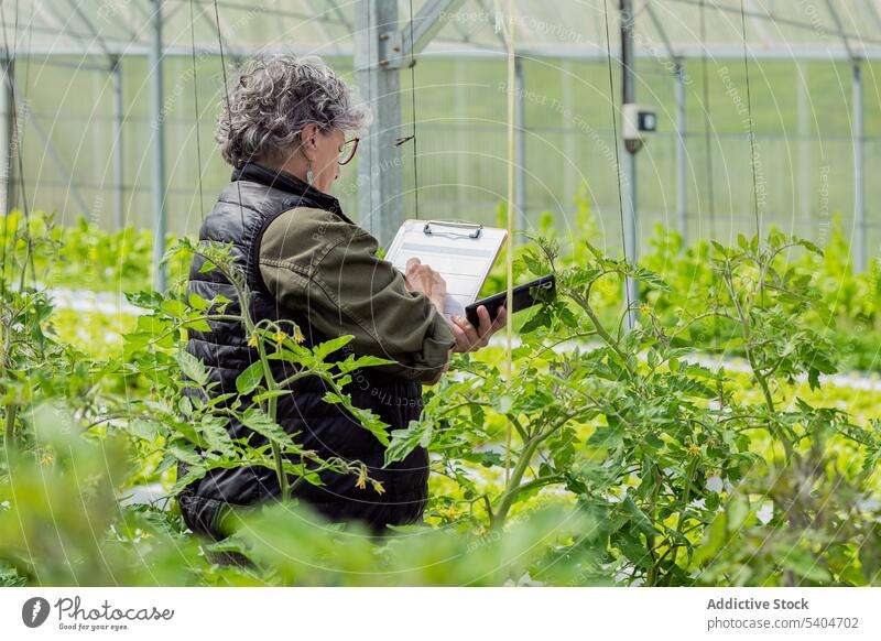 Senior female farmer taking notes during inspection work in greenhouse woman plant take note cultivate examine small business write concentrate gardener