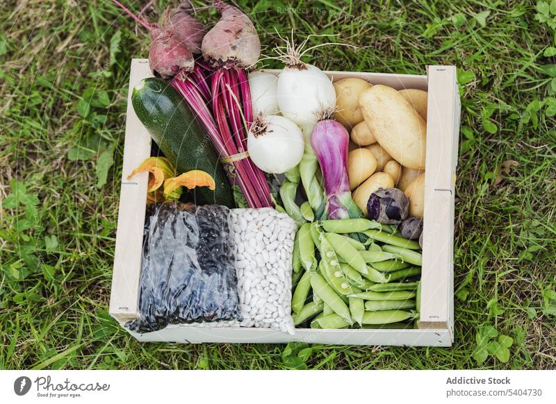 Fresh healthy vegetables in box on grassy field zucchini seed pea fresh organic spring onion potato assorted food green vegetarian agriculture harvest various