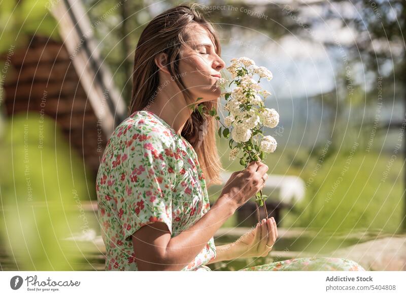 Calm female smelling flowers in nature woman countryside summer enjoy eyes closed scent garden bloom flora tender twig aroma dreamy blossom gentle sunlight