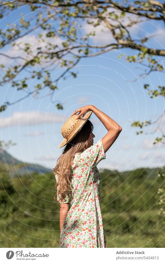 Woman in summer dress and hat in countryside woman sundress tree romantic nature floral field tranquil feminine bloom serene style carefree harmony gentle