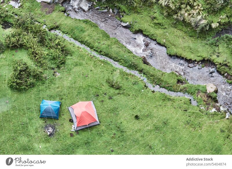 Camping tents on grassy terrain near flowing water stream campsite forest tree summer environment nature countryside colorful plant creek green flora bright