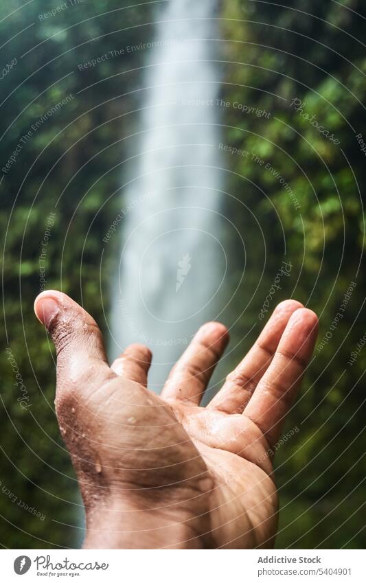 Hand of person open towards forest waterfall hand palm tropical nature green scenic gesture exotic finger tree jungle harmony plant fresh paradise environment