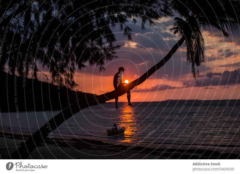 Unrecognizable man sitting on palm tree trunk in evening sunset beach sea silhouette sundown male coast cloudy shore tourist tropical ocean dusk sky summer