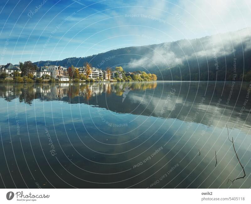 Middle Moselle river landscape reflection bank fluid Beautiful weather Calm Peaceful wide Sunlight Horizon Light Mosel (wine-growing area) Place of longing