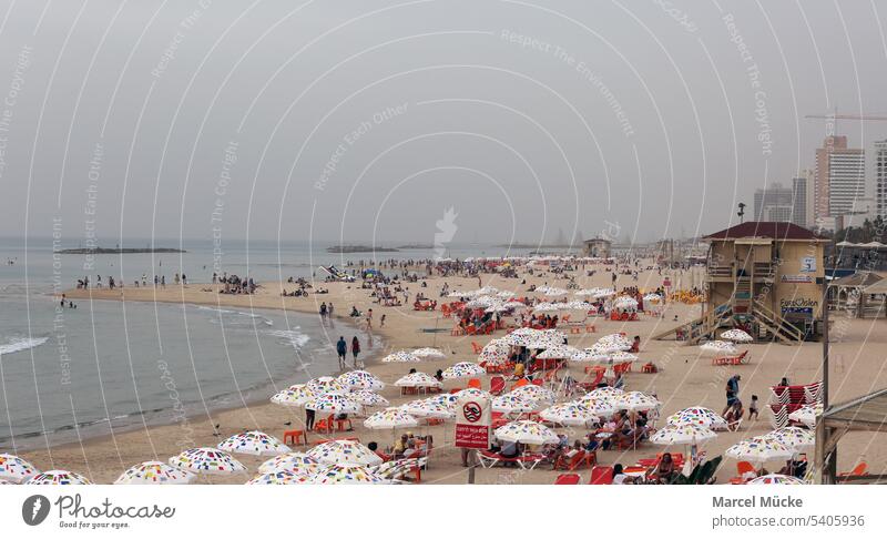 Tel Aviv beach (Israel). Well-visited stand with colorful umbrellas. travel Beach Ocean Mediterranean sea Near East be afloat forbidden beach holiday