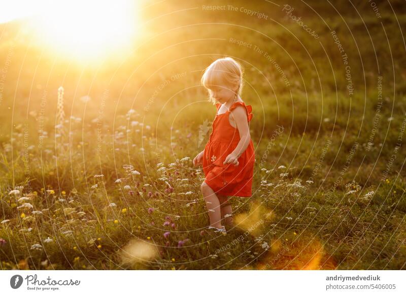 Portrait of a little beautiful girl in red dress on nature on summer day vacation. The playing in the green field at the sunset time. Close Up. The concept of family holiday and time together.