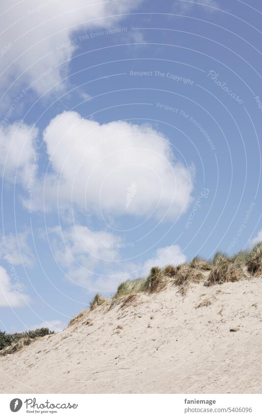 Düne mit Wolken im Hintergrund Sandstrand Cadzand Holland Niederlande Zeeland Schilf Seegras diagonal Spaziergang Dünenlandschaft Landschaft sonnig Meer Nordsee