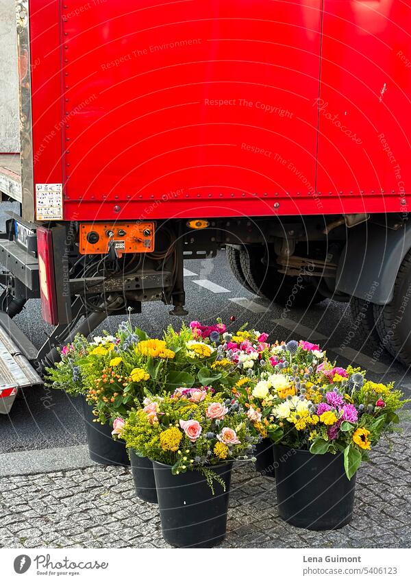 Red truck flowers bouquets in black buckets red truck Bouquets Black buckets delivery Market day Cobblestones Road marking Tailgate Deserted Unload Colour photo