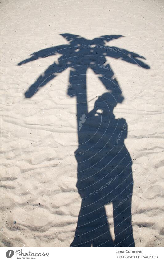 Shadow selfie with palm tree on beach shadow person Sand ocean sun water buzzer woman travel Selfie vacation