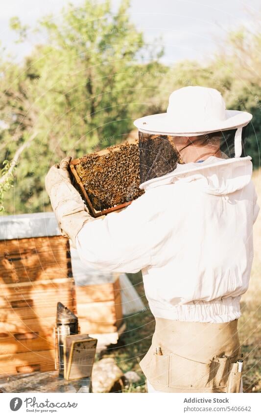 Anonymous beekeeper with part of beehive in apiary protect costume honeycomb man male uniform job nature professional farmer countryside work organic harvest