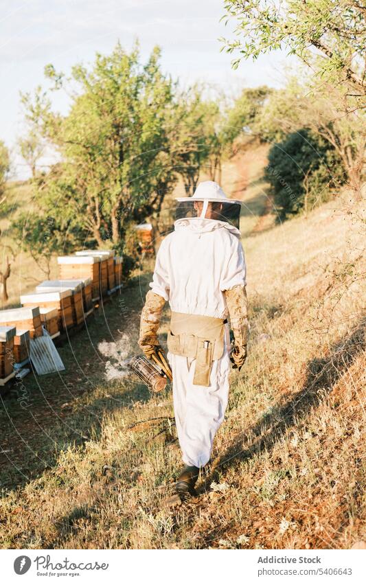 Anonymous beekeeper with smoker working in apiary man tool agriculture protect professional check equipment uniform farm nature male countryside job walk