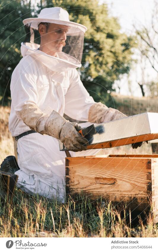 Beekeeper with part of beehive in apiary beekeeper protect costume honeycomb man male uniform job nature professional farmer countryside work organic harvest